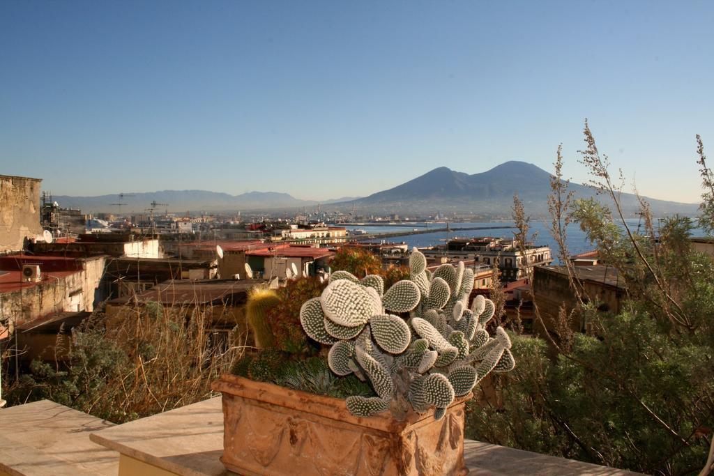 Alma De Templarsf - Stunning Design Home With Sea View And Terrace Napoli Phòng bức ảnh